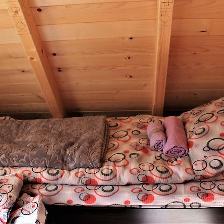 Log - Cabin Hope Žabljak Kültér fotó