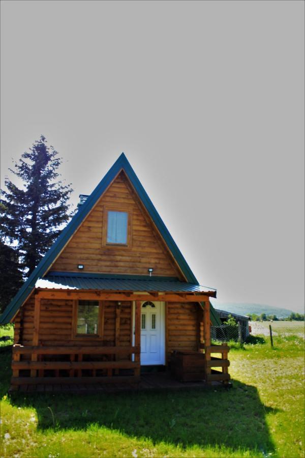 Log - Cabin Hope Žabljak Kültér fotó